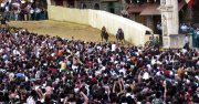 Le Palio de Sienne