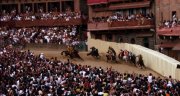 Le Palio de Sienne